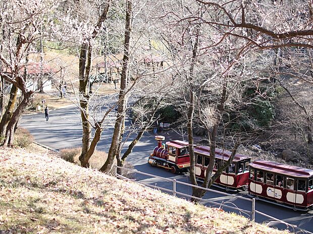 こどもの国　1200m　横浜市青葉区と東京都町田市にまたがる、多摩丘陵の自然を生かした100万平方メートルもの広大な遊び場。 