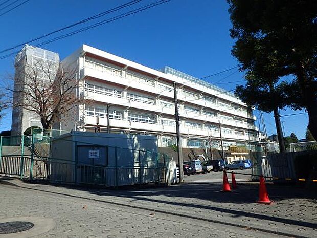 横浜市立善部小学校　550m　 