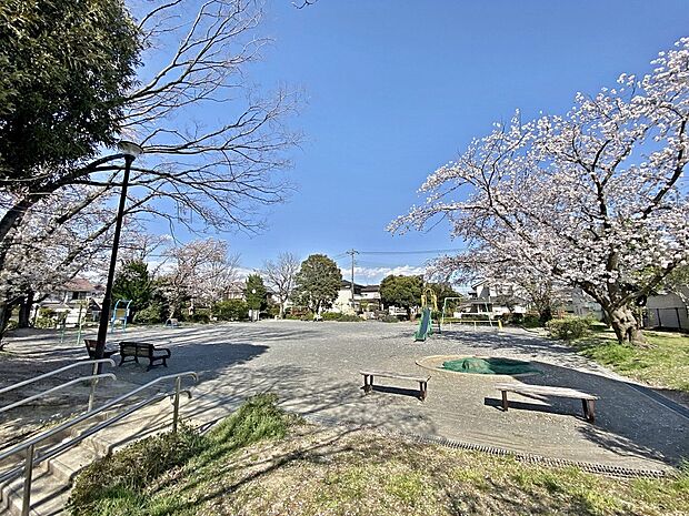 すみよし台第二公園　170m　緑をふんだんに取り入れた広々した公園は見た目にも美しい。遊具もありお子様の遊び場としてピッタリです。 