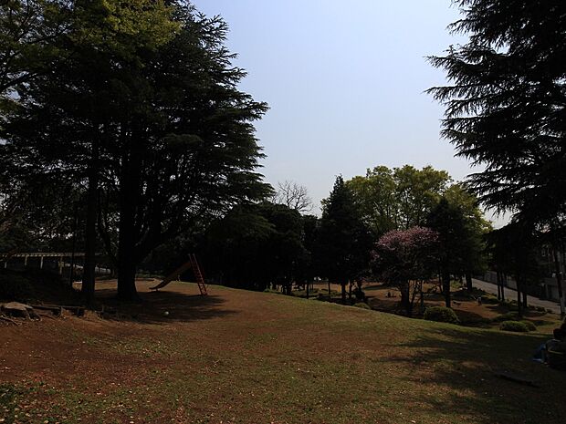 つきみ野1号公園 900m 緑に包まれた自然豊かな公園。自然に溶け込んだ所々の優しい配慮で地域の住民に親しまれています。