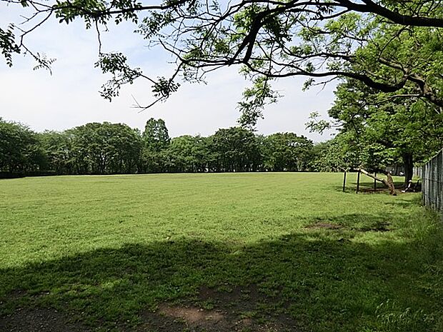 鶴間公園 1100m つるまの森・スポーツ広場・にぎわいの広場など、いくつもの広場がある公園です。