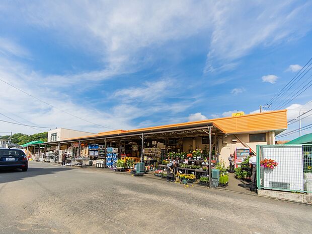 ホームセンターNEWトンカチ 700m 工具や建材、塗料、家庭用品や園芸用品、インテリアやペット用品まで、幅広いアイテムが揃います。