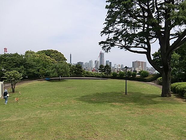 浅間台みはらし公園 500m 急坂を上りきった所にある、名前の通り見晴らしの良い緑豊かな公園。横浜の街が一望できます。