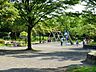 周辺：能見台東公園　1000m　緑豊かな公園です。お子様が楽しめる遊具があるエリアのほかに野球グランド、テニスコートがあります。 