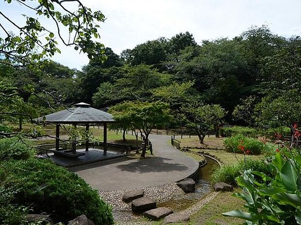 大倉山公園 750m 園内には梅林があり、梅の名所として知られている公園。毎年早春になると大勢の観梅客が訪れ賑わいます。