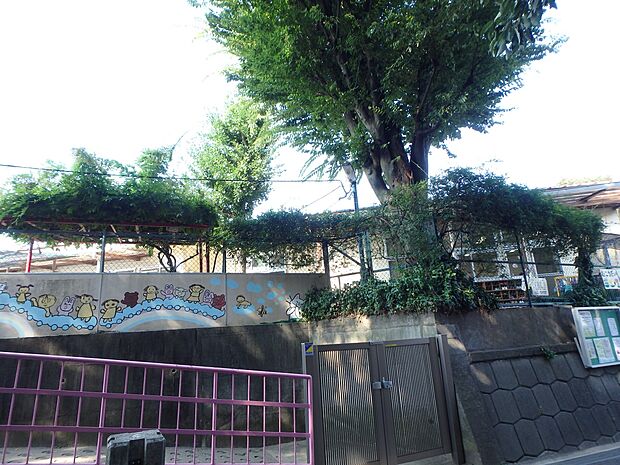 向台保育園 1000m 自然豊かな環境で、虫取りや木のぼりなどの自然遊びを通して、心身共に育つことを願って保育しています。