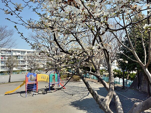 権太坂三丁目公園　400m　住宅地に囲まれた公園です。子供が喜んで遊べる遊具があります。