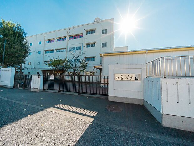 横浜市立桂台小学校 210m