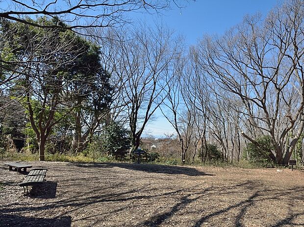 まさかりが淵市民の森 750m 横浜市戸塚区にある、民話が残る「まさかりが淵」の滝がシンボルの市民の森です。