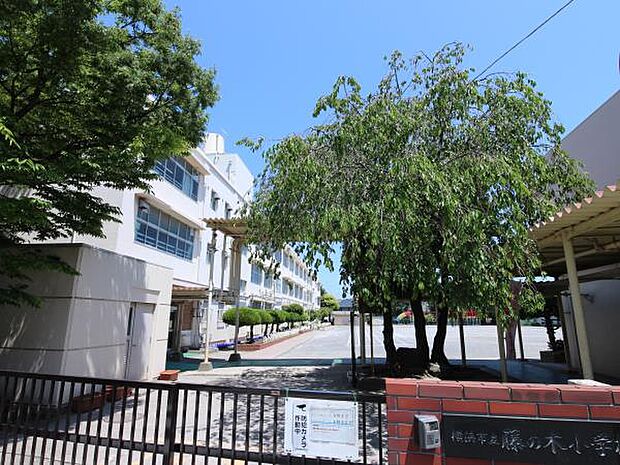 横浜市立藤の木小学校　600m　徒歩8分。小学校が近いのは子育てファミリーにもおすすめのポイント。 