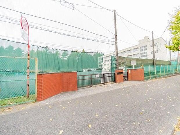 横浜市立さわの里小学校 800m