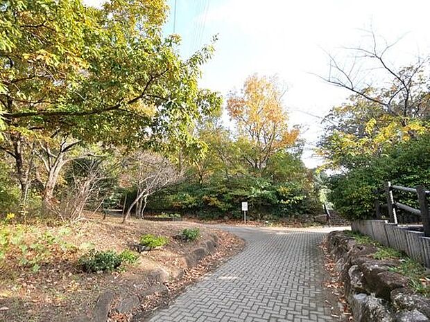 坪呑公園　450m　遊歩道が敷かれており、緑の中で散策も楽しめます。 