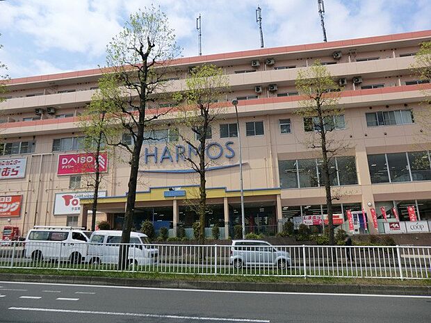 ユーコープハーモス荏田 900m 食品を扱うユーコープ、しまむら、100円ショップなど日常の暮らしに便利なお店が揃います。