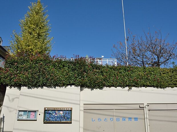 しらとり台保育園 500m 英語・音楽・かきかた・体育は外部から専門の先生が指導。遊びと教育がバランスよく組み込まれた園です。