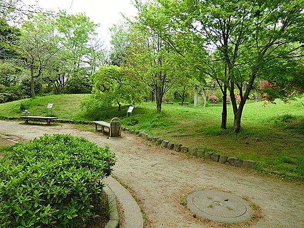 小黒公園 450m 桜が見所の公園です。広場を囲むように遊歩道があり散策も楽しめます。
