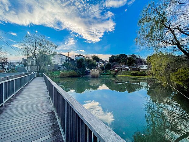 谷矢部池公園 300m 自然の湧き水を利用したせせらぎやじゃぶじゃぶ池があり水鳥が生息しています。緑と水に癒される公園です。