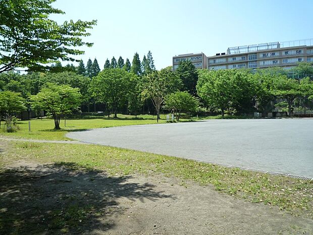 沢渡中央公園 1200m 走り回れる広場をぐるりと木立が囲み、おだやかな雰囲気が漂う公園です。