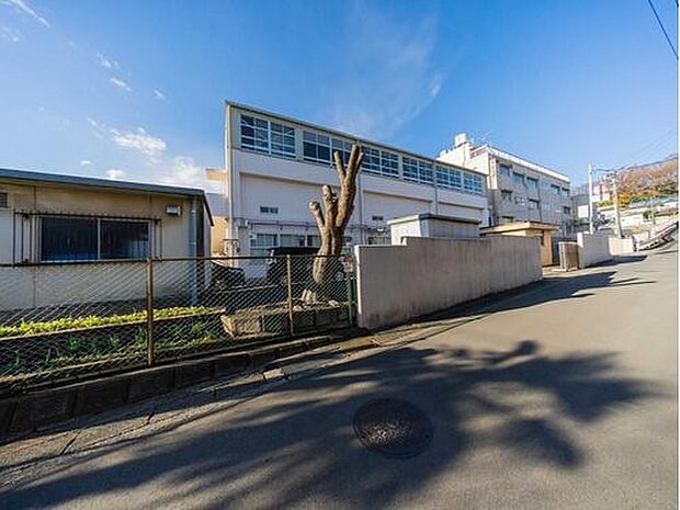 横浜市立城郷小学校 500m