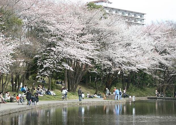 山田富士公園 600m 池と緑に溢れた大きい公園は、みんなをリフレッシュしてくれる場所です。