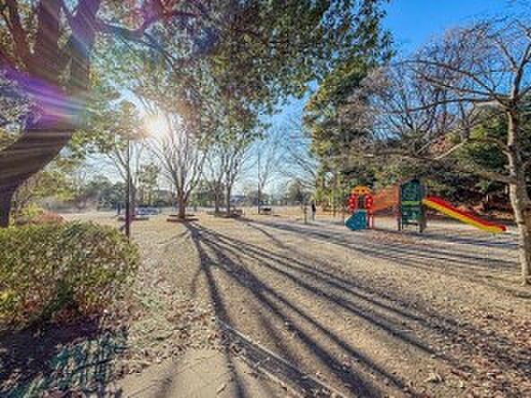 泉天ケ谷公園　550m　公園の真ん中に小高い山があり、その山を挟むように南北にそれぞれ広場があります。 
