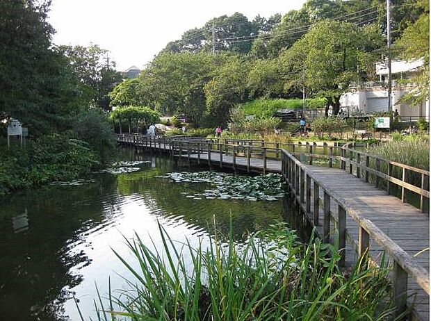 篠原園地 600m 駅チカながら自然豊かな大きな公園。穴場スポットなので遊具広場ではのんびり遊べます。