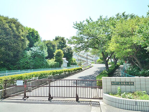 横浜市立上寺尾小学校 400m 徒歩5分。小学校が近いのは子育てファミリーにもおすすめのポイントです。