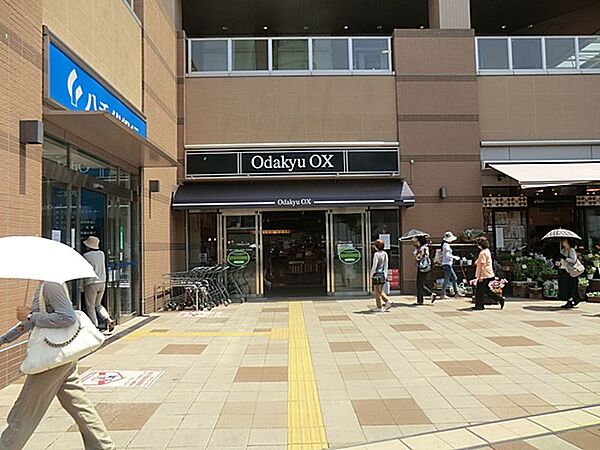 OdakyuOX相模原店　350m　食卓を飾る新鮮な食料品が毎日揃います。