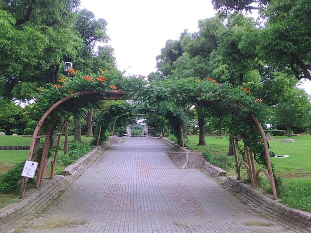 長浜公園 850m 横横道路を挟んで北と南に分かれた大きな公園。サッカー場などの運動施設・遊具・野鳥観察園等があります。
