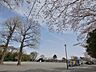 周辺：川上公園　650m　広い広場や遊具のある見晴らしの良い公園。春には桜の下でお花見ができます。 