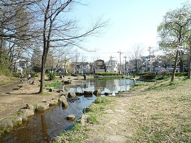 桜台公園 750m みどりいっぱいの公園内には、散策路があり散歩が楽しめます。
