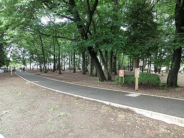 林間公園 1000m 住宅街にある広くて大きな公園です。公園の設備にはトイレ・水飲み・手洗い場があります。