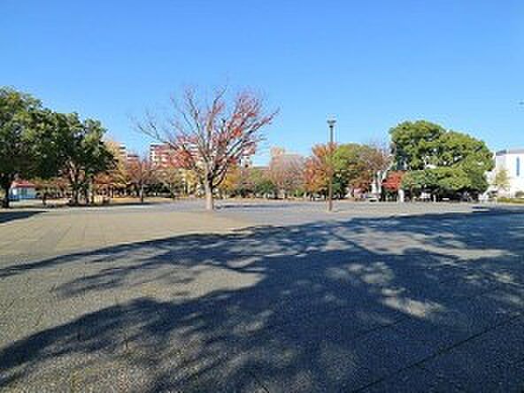 反町公園 800m たくさんの木々に囲まれ、ゆったりと過ごすことのできる癒しの空間です。