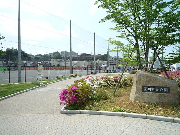 星川中央公園　1300m　スポーツを楽しむことができる多目的広場があり、休日などは野球やサッカーの試合等で賑いを見せる公園。 