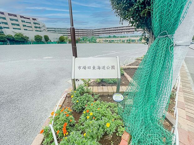 市場旧東海道公園 900m 思いっきり走り回れる広さを持つだだっ広い公園。地元ではメガロンと呼ばれて親しまれています。