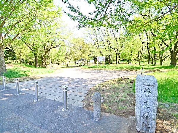 菅生緑地　1100m　ゆっくりと散策や森林浴を楽しめます。アスレチックや大型遊具などがあり、お子様も楽しめる公園です。