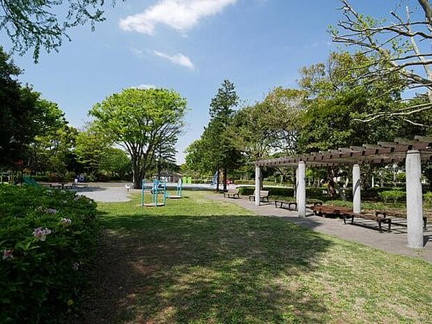 俣野公園　900m　旧ドリームランドの跡地を活用し、整備された総合公園。 