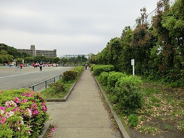 小港南公園 350m 緑が溢れる大きな公園です。砂入り人工芝テニスコート2面と野球場1面があります。