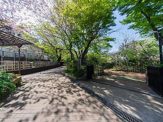 安部幼稚園　600m　約3500坪の広い園地の中で、こどもたちは四季を楽しみながらのびのびと園生活を過ごせます。 