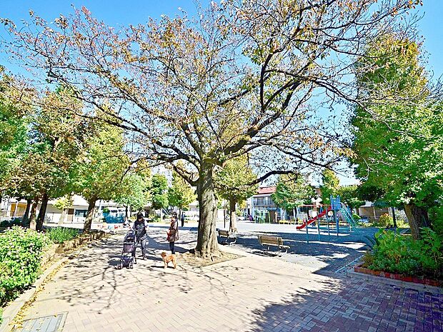 戸手第一公園　170m　住宅街の十分な広さの公園です。公園の目の前には「川崎市幸こども文化センター」があります。 