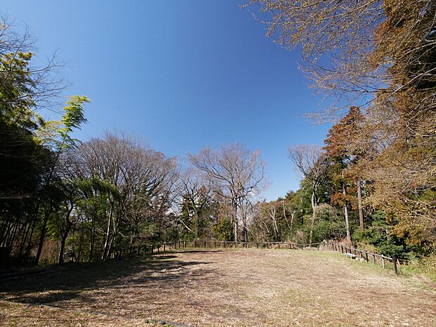 ウイトリッヒの森 　900m　自然の恵みを感じられる散策スポットです。 
