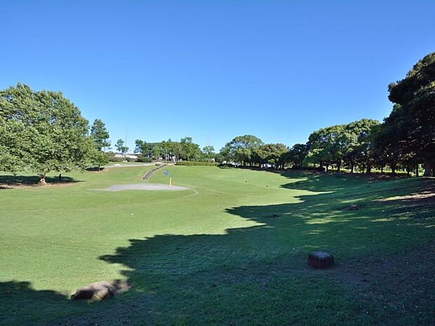 岸根公園　1000m　野球場、武道館、広場、篠原池などがあり水と緑が調和する癒しの空間です。 