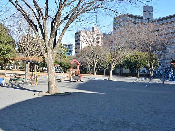 神奈川公園　240m　春には桜が楽しめ、散歩道もありベンチでランチも気持ちがいいかも。