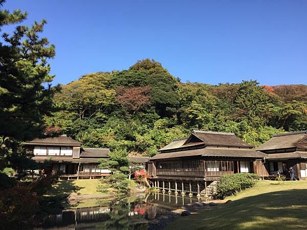 三渓園　300m　梅や桜、ツツジ、紅葉の名所。日本文化が体験できる観光スポット。歴史的建造物17棟が配置されています。