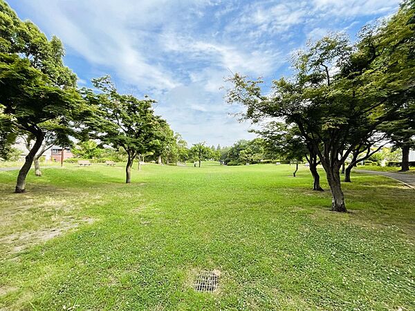 新本牧公園　350m　春は桜、秋は紅葉を楽しむ地元住民が訪れ、夜は噴水場付近がライトアップされて美しい。
