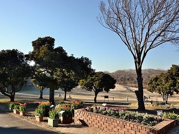 根岸森林公園　550m　なだらかな敷地いっぱいに広がる芝生で、のびのび遊べる公園です。春の桜は見事です。