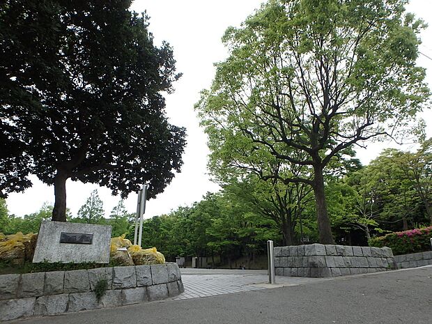 富岡公園　650m　住宅街の中の緑に囲まれた公園。お子様が走り回れる広場や遊具、木陰で休めるベンチがございます。 