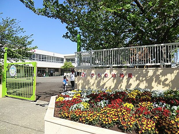 かもめ幼稚園　200m　苗植えから収穫まで体験する農園活動や小動物の飼育など、身近な自然に関わる環境づくりに力をいれています 