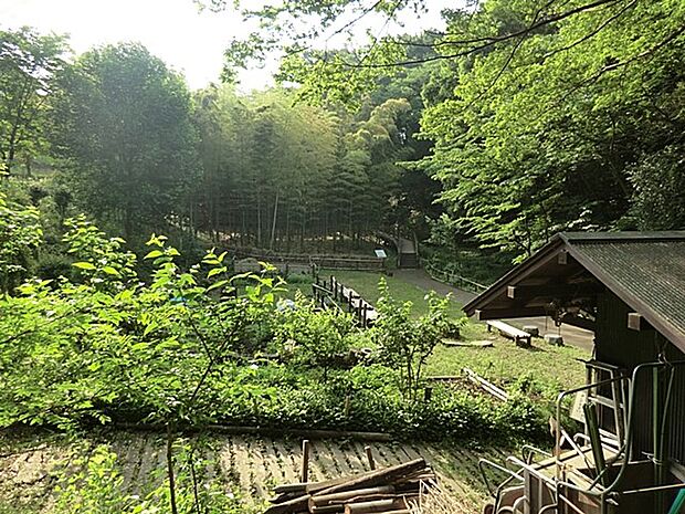 天王森泉公園 10m 天王森泉館・湧水の森・見晴らしの丘・くわくわ森の4つのエリアに分かれた緑豊かな公園。
