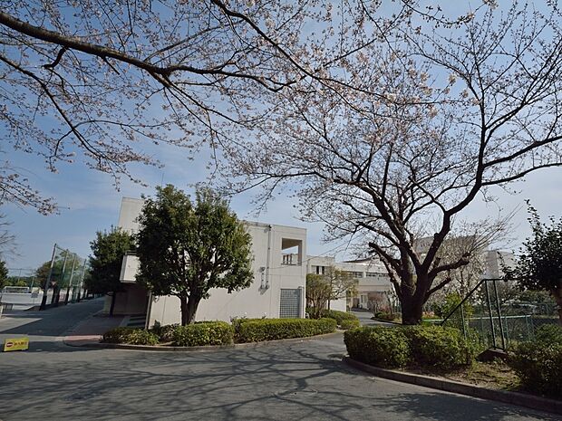 横浜市立秋葉小学校　800m　徒歩10分。小学校が近いのは子育てファミリーにもおすすめのポイントです。 