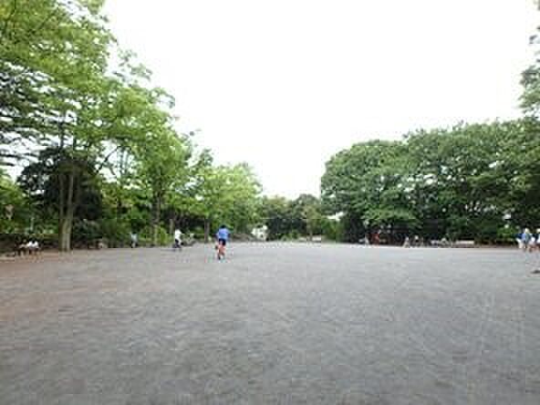 菊名池公園 700m 地域の住民の憩いの場。池、広場、プールなどがあり、夏の暑い日にはプールから元気な声が聞こえてきます。